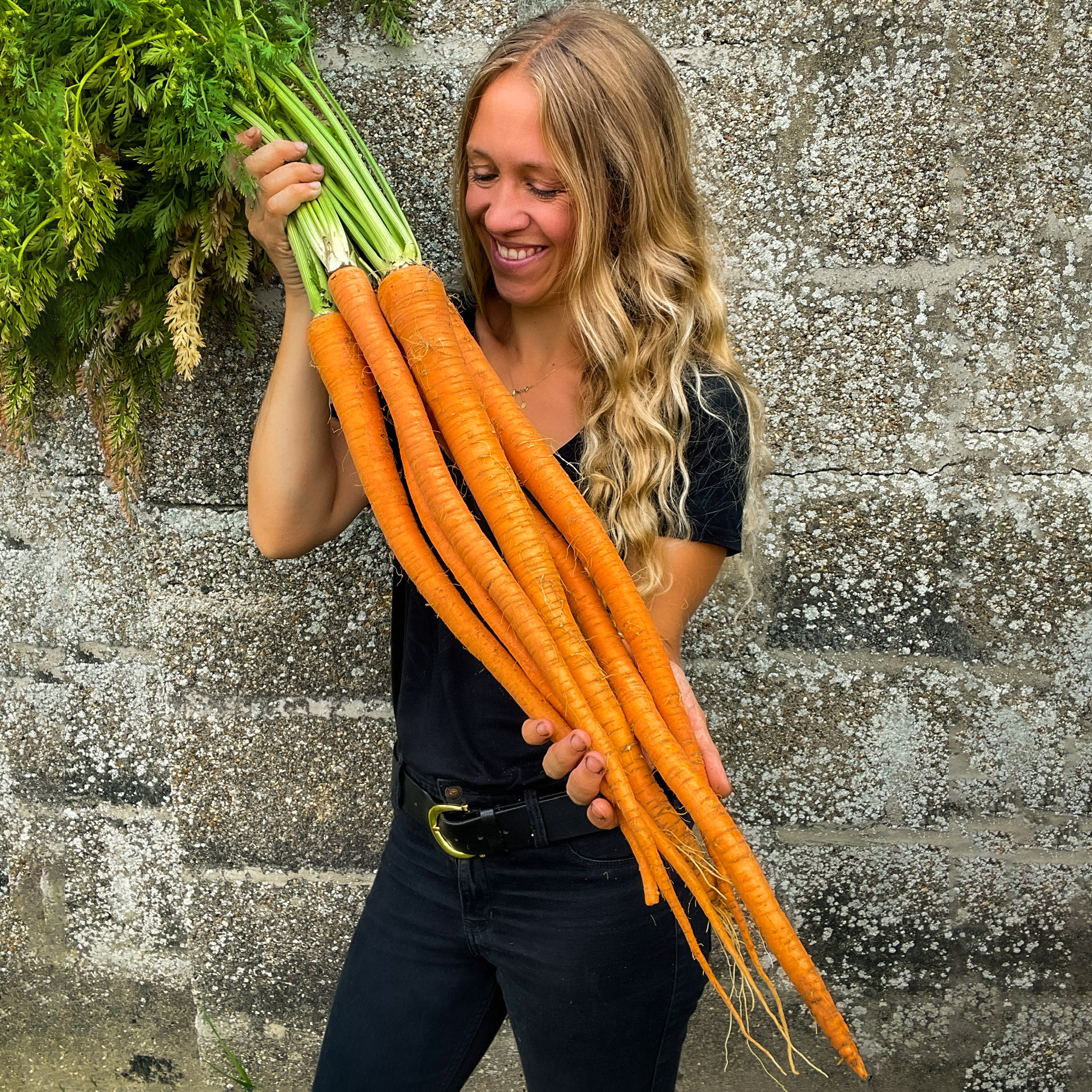 Unlock Giant Carrots: Seed Selection and Soil Secrets for Success